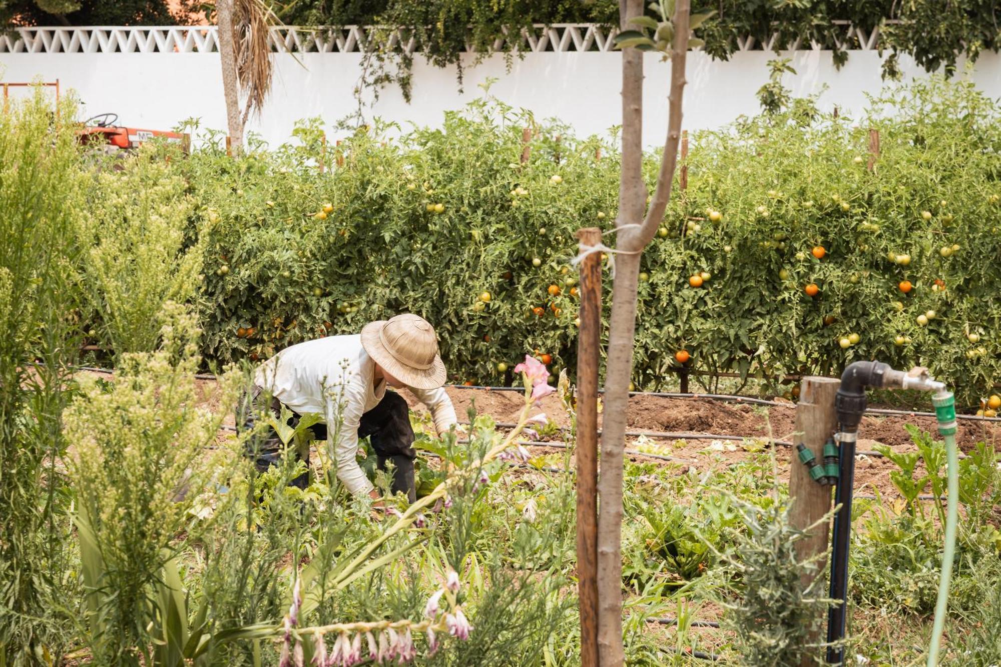 Vila Nova da Baronia The Green House Alentejo מראה חיצוני תמונה